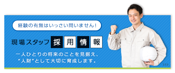 採用情報